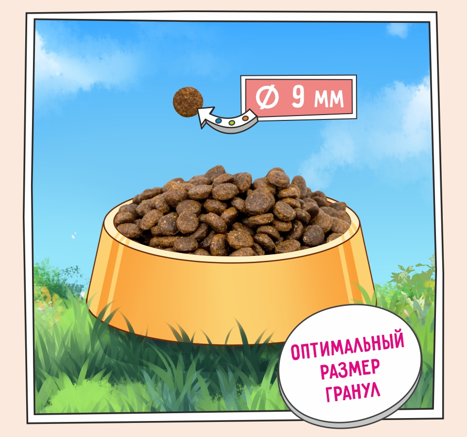 Слайд 3 OZON-5658 120.jpg Слайд 3 OZON-5658 120.jpg