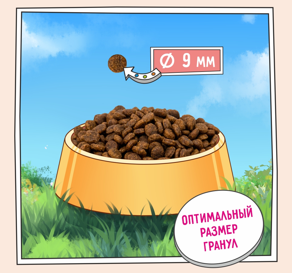 Слайд 3 OZON-5658 140.jpg