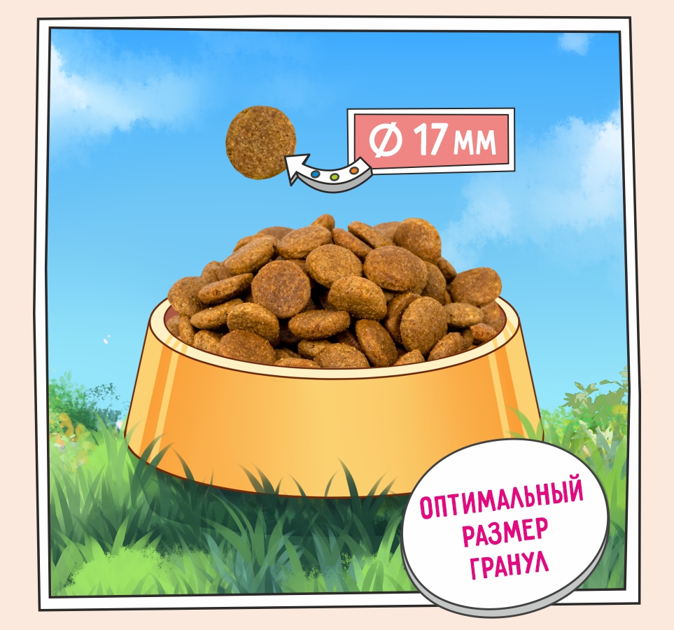 Слайд 3 OZON-5658 050.jpg Слайд 3 OZON-5658 050.jpg
