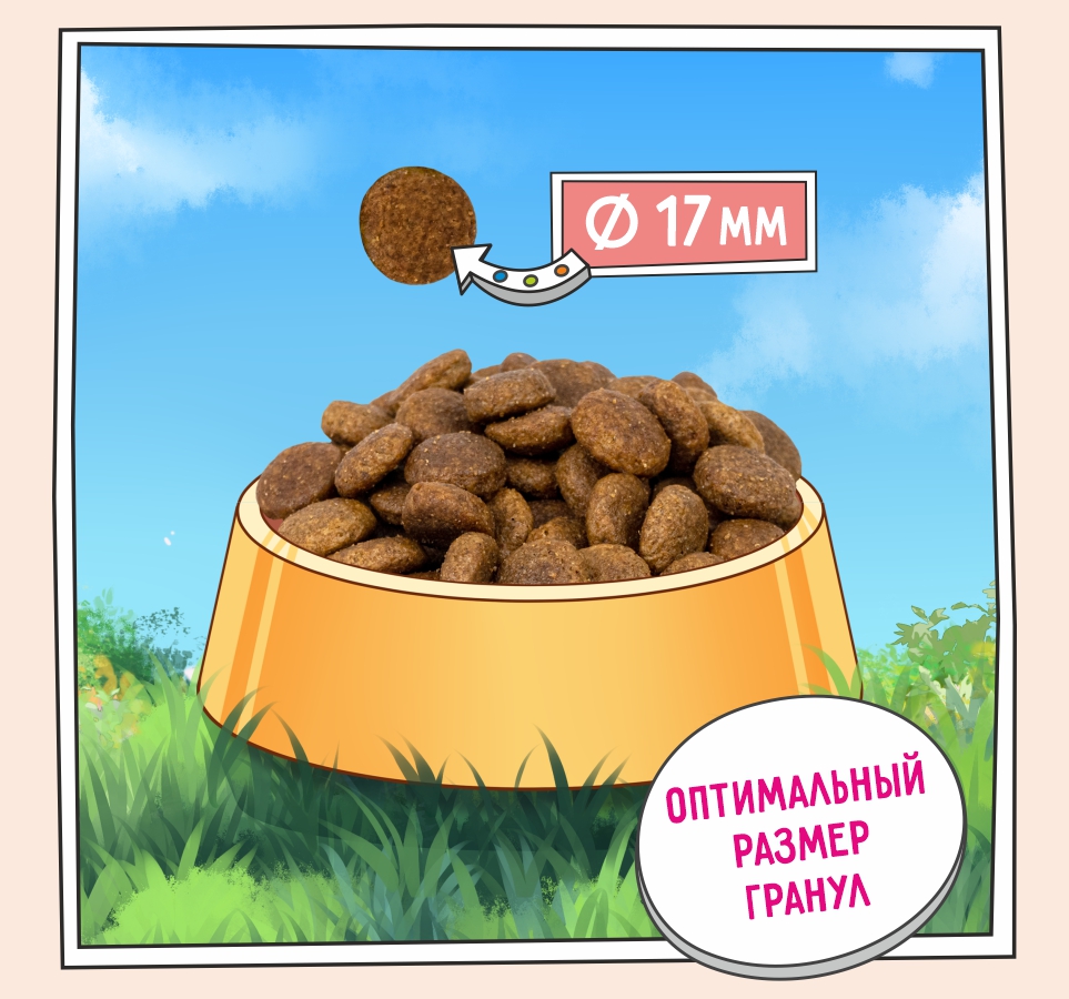 Слайд 3 OZON-5658 040.jpg Слайд 3 OZON-5658 040.jpg