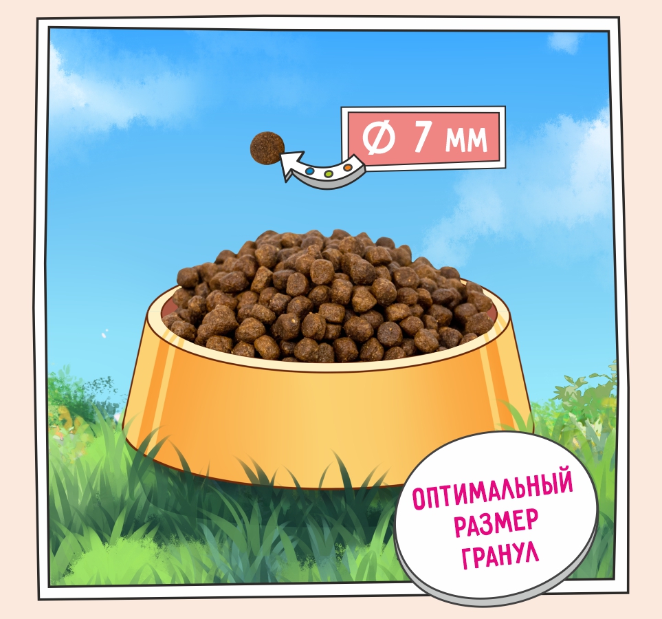 Для кошек, гранула 5658 100 Для кошек, гранула 5658 100