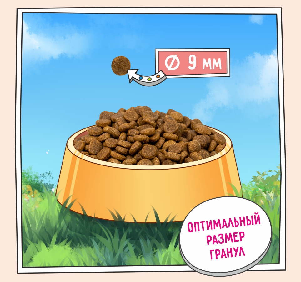 Слайд 3 OZON-5658 150.jpg Слайд 3 OZON-5658 150.jpg