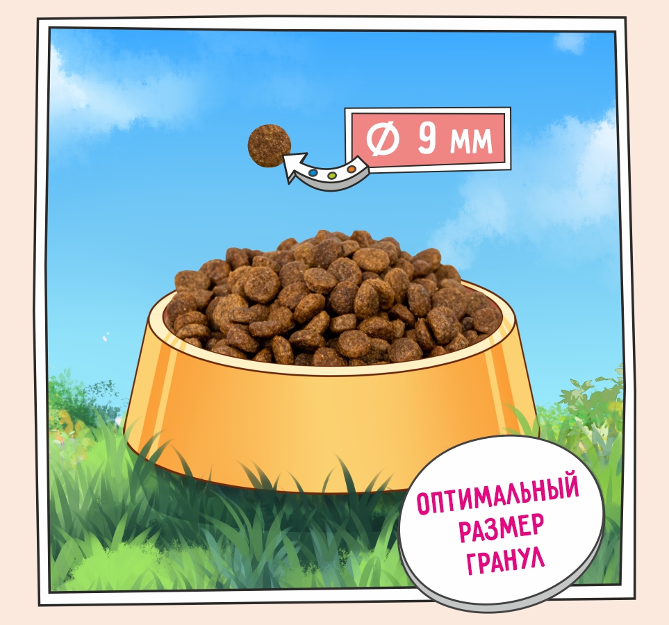 Слайд 3 OZON-5658 020.jpg Слайд 3 OZON-5658 020.jpg