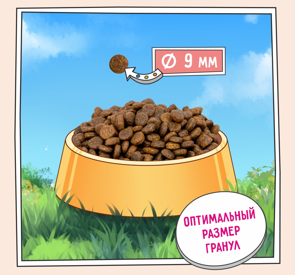 Слайд 3 OZON-5658 110.jpg Слайд 3 OZON-5658 110.jpg
